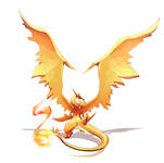 Charizard Y