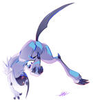 Absol Upsidedown